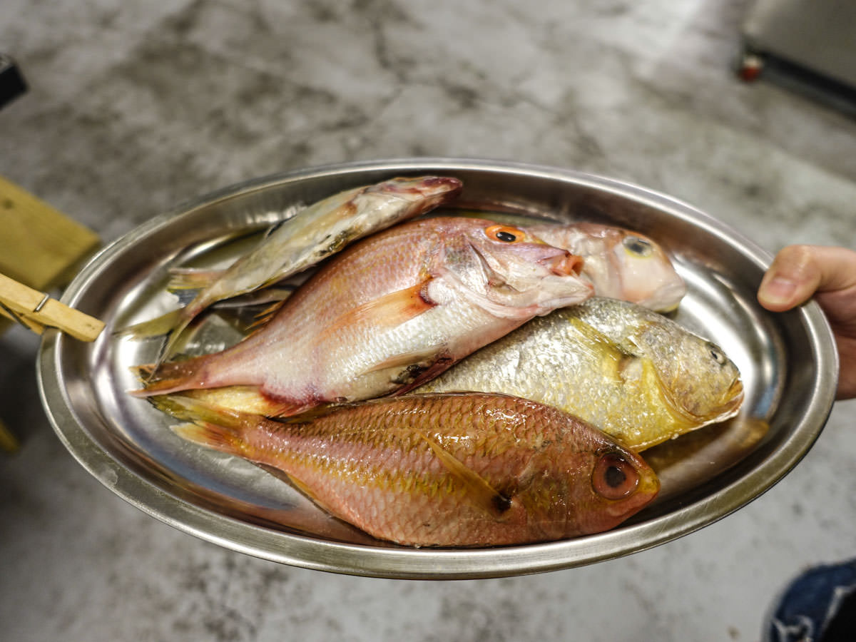 桃園美食|海寶城複合式碳烤 漁港直送海魚、鮮蝦、東石生蚵吃到飽！